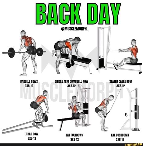 Back Day Barbell Rows Single Arm Dumbbell Row Seated Cable Row 318 12
