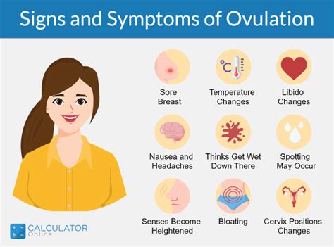 Ovulation Calculator And Calendar To Know Your Most Fertile Days