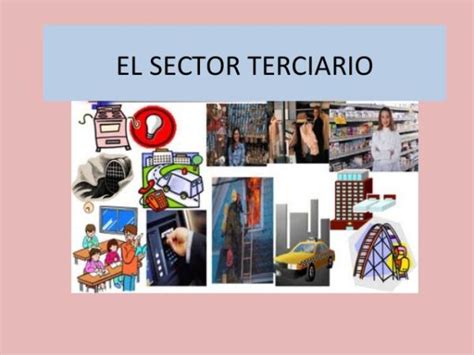 Sector Terciario Definición Y Ejemplos