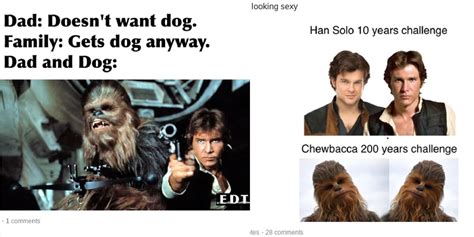 Star Wars 10 Memes That Perfectly Sum Up Chewbacca As A Character