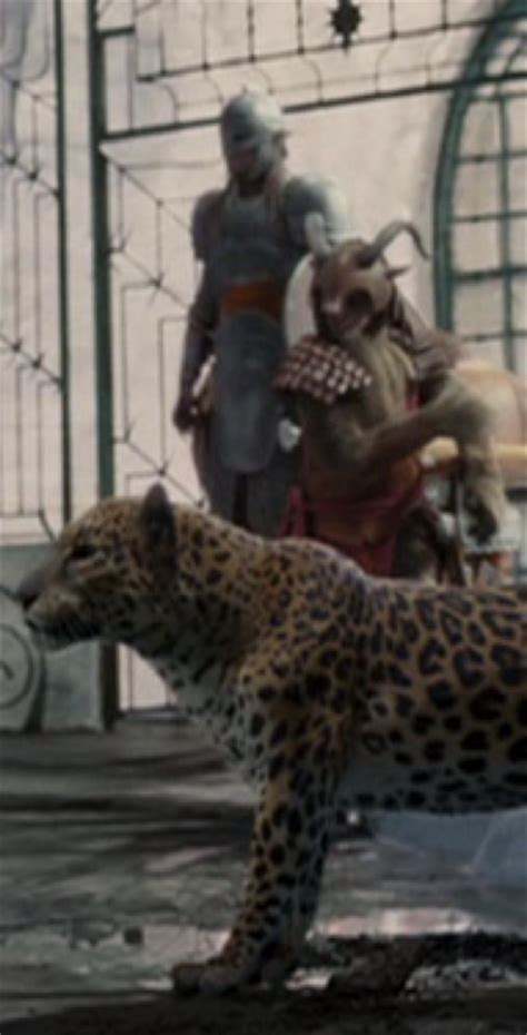 Leopard The Chronicles Of Narnia Wiki Fandom Powered By Wikia