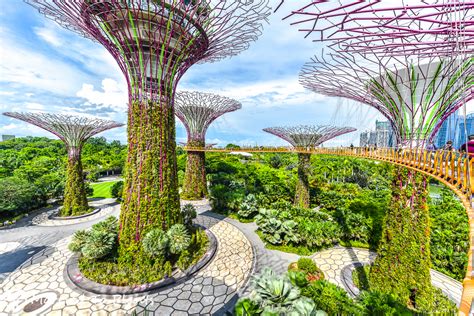 The Amazing World Gardens By The Bay Largest Nature Park Marina