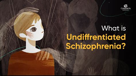 Undifferentiated Schizophrenia Symptoms Causes And Treatment