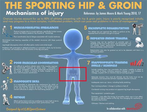 The Sporting Hip Mechanisms Of Injury Ylmsportscience
