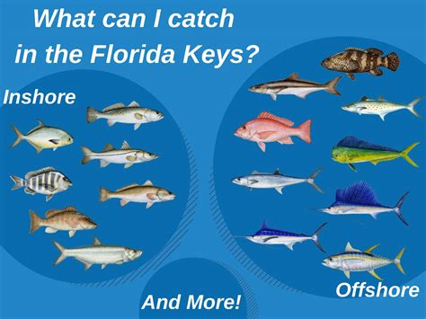 Fishing In The Florida Keys A Complete Guide Gary Spivack