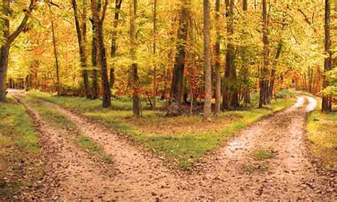 Two Roads Diverged In A Yellow Wood Welcome To The Dead Poets Society