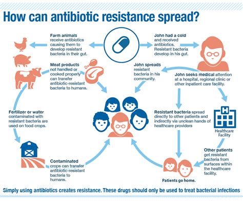 world leaders discuss antibiotic resistance at un summit