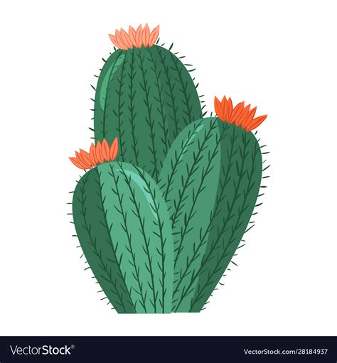 Cartoon Cactus Clipart Best Hot Sex Picture