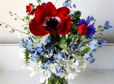 2048x1536 Resolution Red Poppies With Blue Cornflower And Blue Forget
