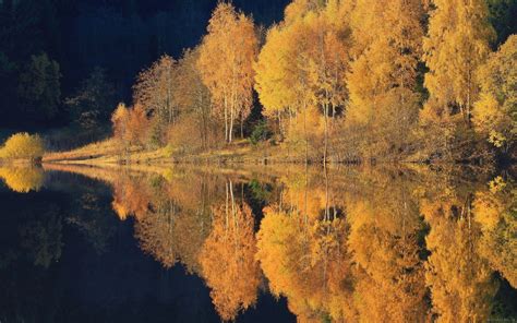 6124921 Calm Yellow Nature Reflection Trees Clouds Sky Lake