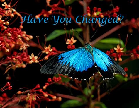 Have You Changed
