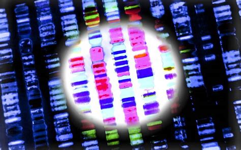 Personalising Whole Genome Sequencing Doubles Diagnosis Of Rare
