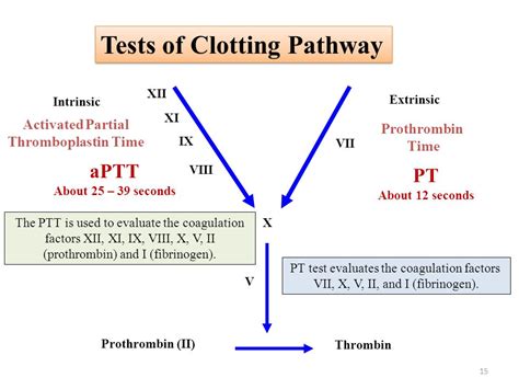 Atf does not offer additional opportunities to take the ptt. POTD: COAGs and NOACs — Maimonides Emergency Medicine ...