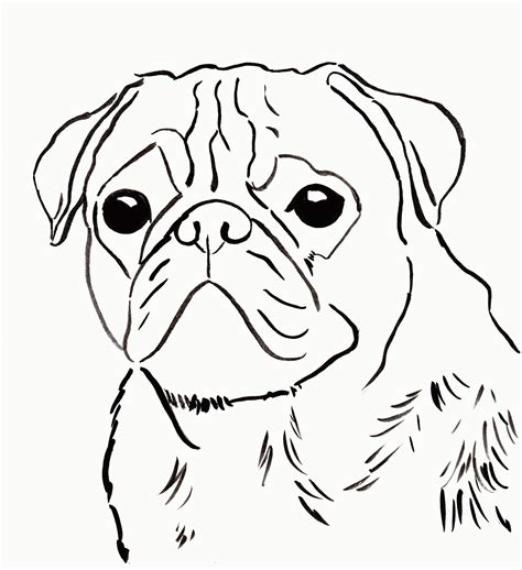 Free Pug Coloring Page To Download And Print Coloring Home