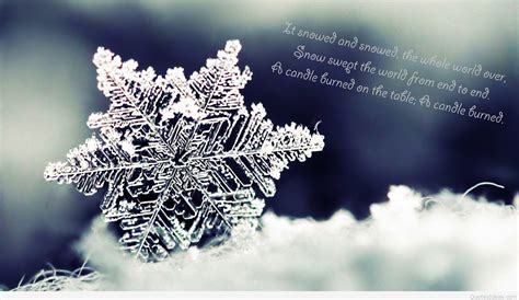 Find the best snowflakes quotes, sayings and quotations on picturequotes.com. Awesome Winter Snowflakes Quotes with pictures & cards