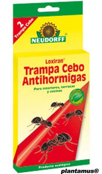 Aprende cómo eliminar las hormigas de tu hogar con esta preparación casera fácil, segura para tu familia y para las mascotas, y muy efectiva para acabar con la invasión en tus espacios. Como eliminar hormigas de manera ecológica. Plantamus®