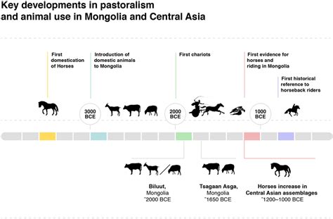 Timeline For Horse Domestication And Key Events Related To Early
