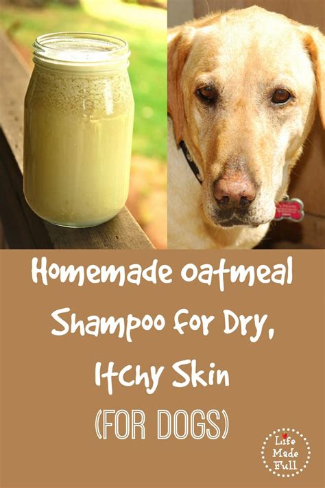 Homemade Oatmeal Shampoo For Dry Itchy Skin For Dogs Life Made Full
