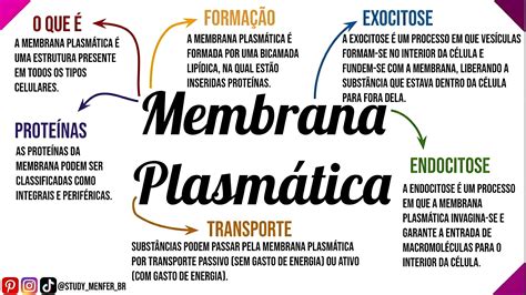 Mapa Mental Sobre Membrana PlasmÁtica Maps4study
