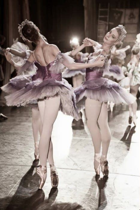 Ballerinas Calves Collection 3 Dance Costumes Dance Photography Ballet Beautiful