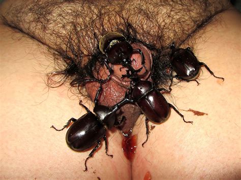 Img4028 In Gallery Insect Masturbation Picture 1