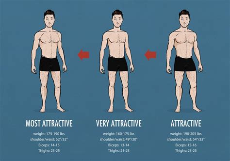 The Ideal Male Body According To This Has A Certain Weight And Height