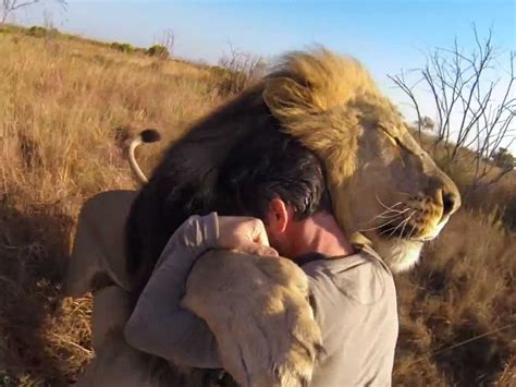 Video Of A Man Hugging A Wild Lion Will Bring You To Tears Business