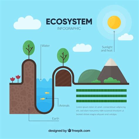 Infográfico del ecosistema Vector Gratis