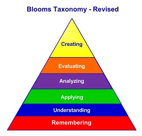 Best Blooms Taxonomy Images Blooms Taxonomy Taxonomy Bloom Porn