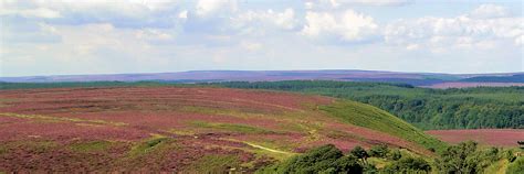 Walks In The North York Moors All Free To Print Off Or Download