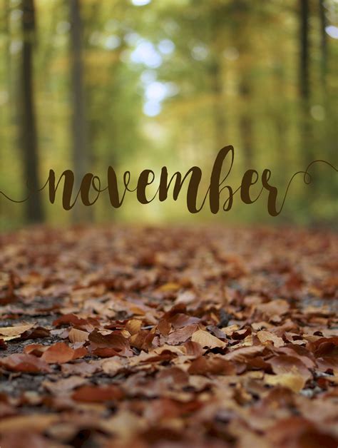 November Background iPhone - KoLPaPer - Awesome Free HD Wallpapers