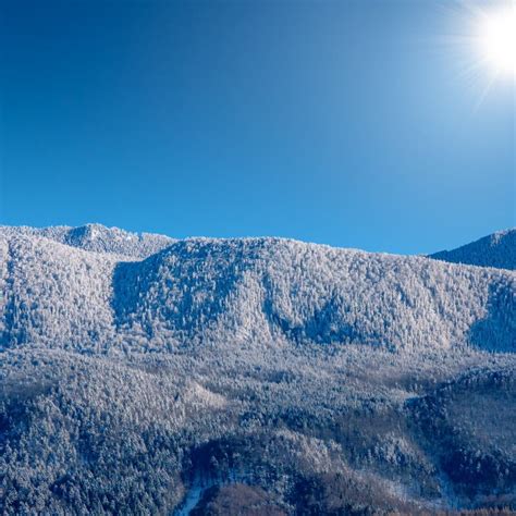 Beautiful Winter Wonderland Alpine Scenery With Covered With Frost