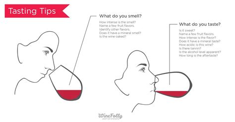 What are the 4 parts to tasting wine?