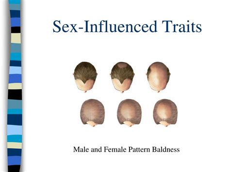 Ppt Sex Influenced Traits Powerpoint Presentation Free Download Id