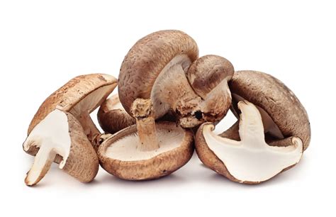 The Shiitake Mushroom For Body Recompositioning And Sports Nutrition