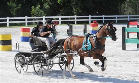 Avon Driving Park Pleasure Show Western Ny Combined Carriage Association