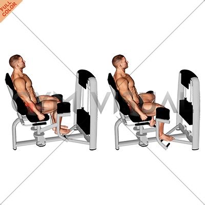 Lever Seated Hip Abduction Gym Visual