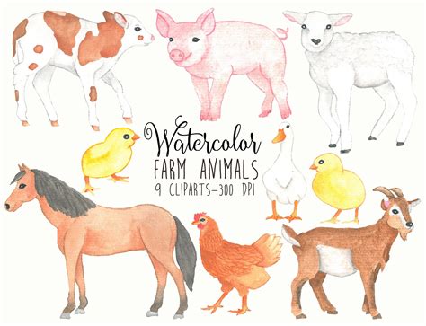 Farm Animals Clipart Watercolor Farm Clipart Farm Watercolor Clip Art