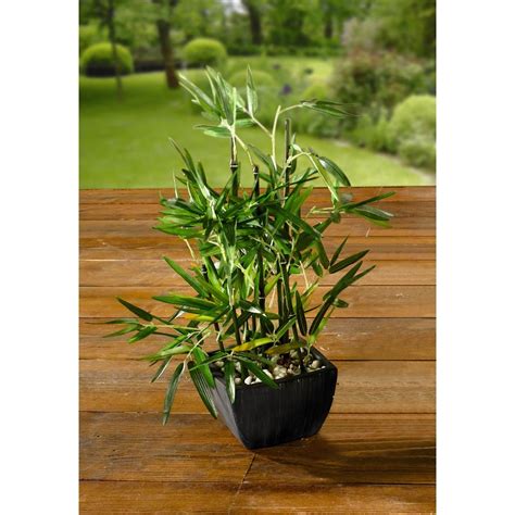 18 In Artificial Bamboo Plant In Pot With River Stones Hd222717 P