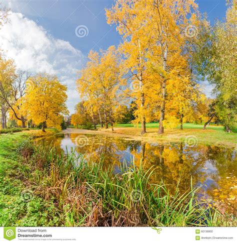 Autumn Landscape With The River In The Park Stock Photo Image Of