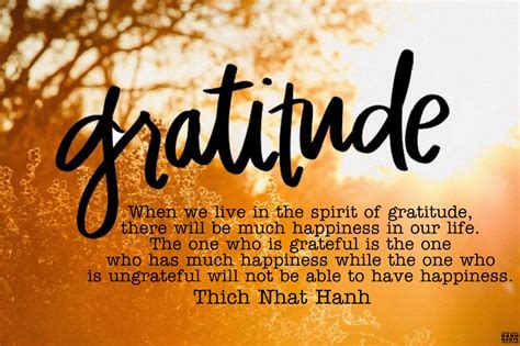 When We Live In The Spirit Of Gratitude There Will Be Much Happiness