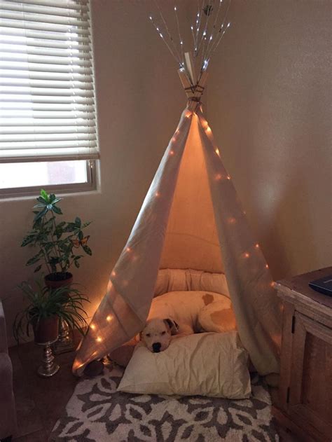 Maybe you would like to learn more about one of these? Cool 24+ Awesome Pets Room https://meowlogy.com/2018/02/08 ...