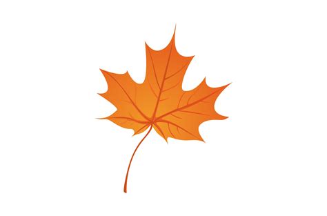 Single Autumn Leaf Vector Illustration Graphic By K For Kreative