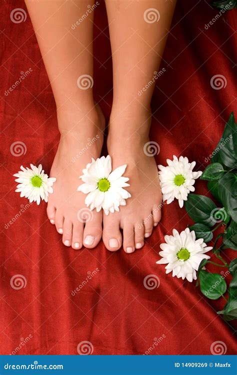 Feet Care Stock Image Image Of Foot Nail Feminine 14909269