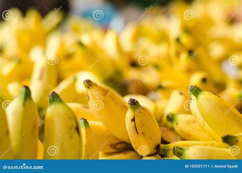 Exotic Tropical Fruit Banana Display At Stall Stock Image Image Of