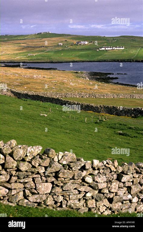 Dry Stone Walls In Shetland Stock Photo Alamy