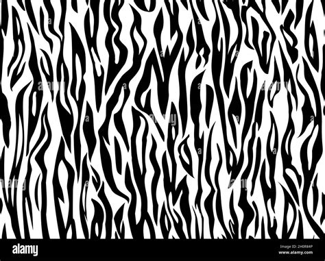 Vector Tiger White Black Stripe Pattern Tiger Seamless Tiling