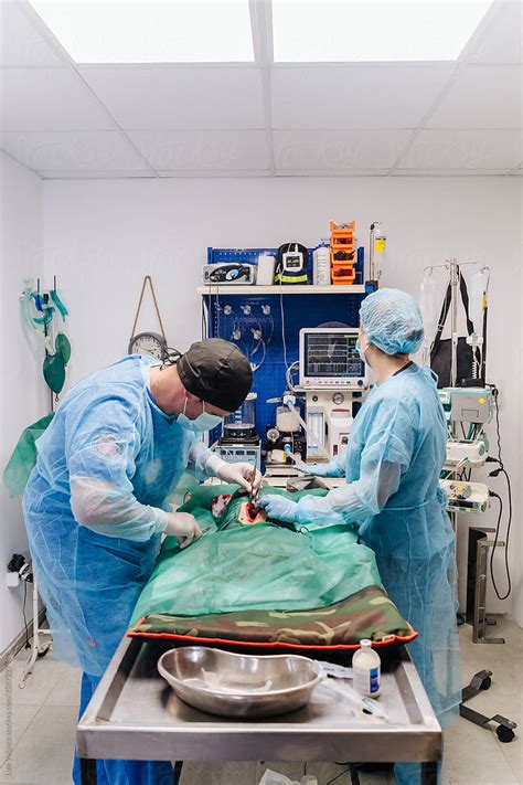 Surgery Of A Dog In A Veterinary Clinic By Stocksy Contributor Luis