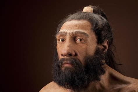 Pangea Progress Modern Humans 10 Neandertals 1 Sciencenow