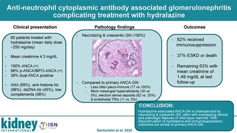 Anti Neutrophil Cytoplasmic Antibody Associated Glomerulonephritis